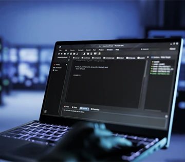 Website and custom software development